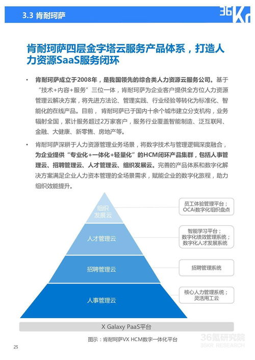 2021年中國人力資源服務行業洞察 數字化轉型與靈活就業新浪潮