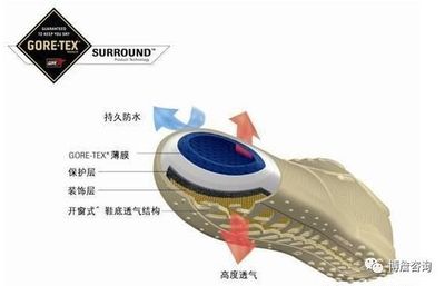 揭秘Brands 為什么Brooks布魯克斯被稱為低調而強大的跑鞋王者及其獨家科技